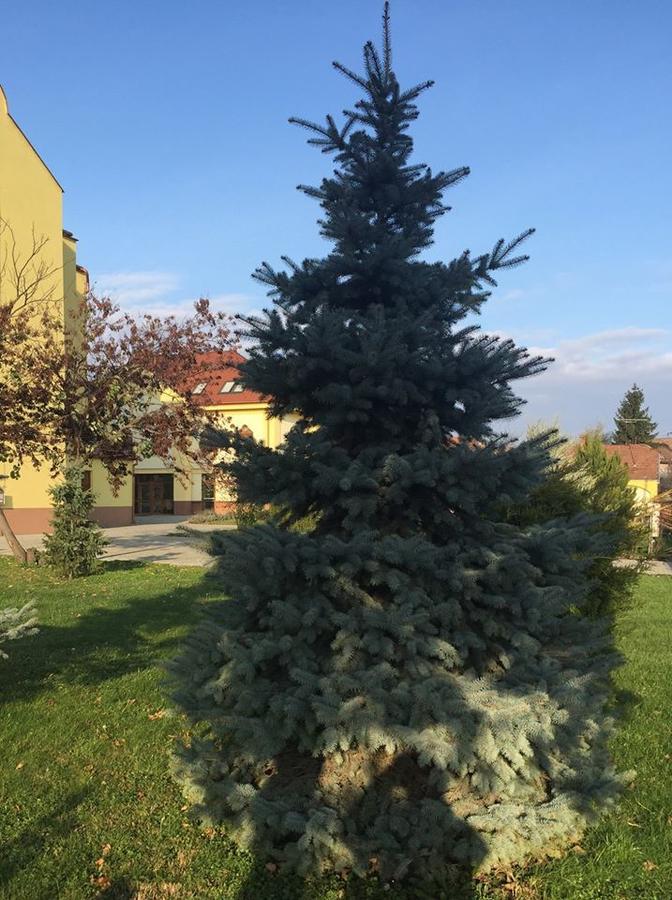 Mamre Szallo Hajduboszormeny Exteriér fotografie